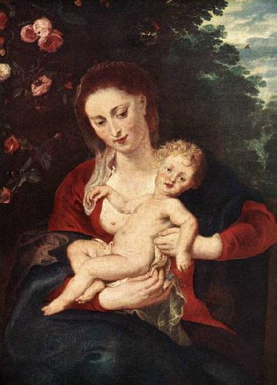 RUBENS, Pieter Pauwel Virgin and Child oil painting picture